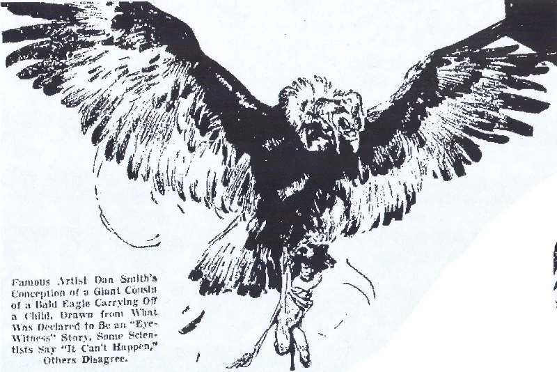 thunderbird illustration